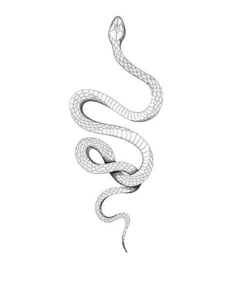 wrap around snake tattoo stencil.